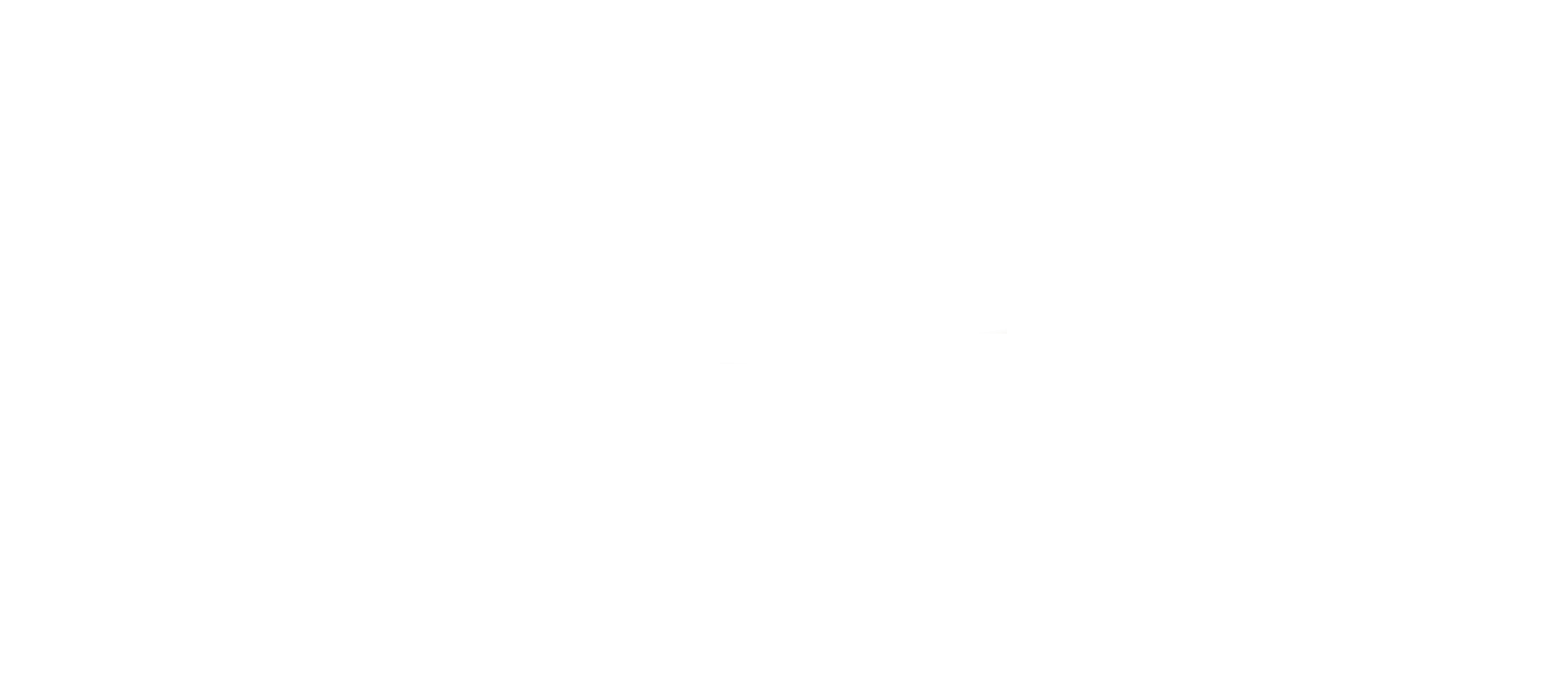 ZUKUNFTSBRÜCKE
